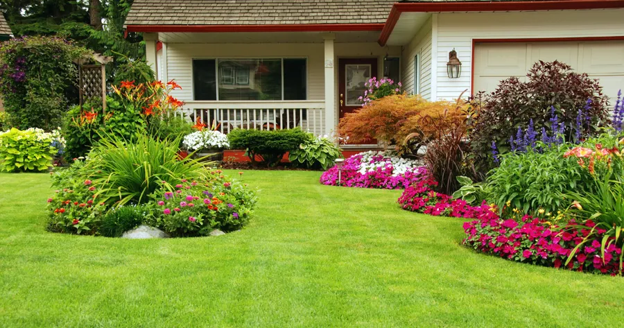 Lawn Care Deals: Save Time, Money, and Effort