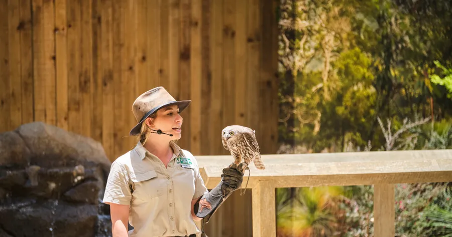 The Best Well-Paying Career Paths For Animal Lovers