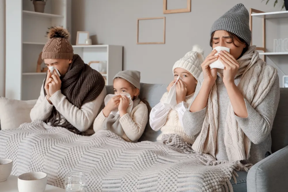 The Family Guide to Cold and Flu Season: Natural Remedies and Medical ...