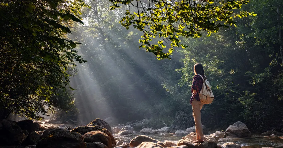 Forest Bathing in Urban Environments: Is It Possible?