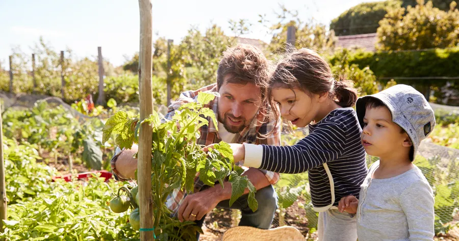 So starten Sie mit Ihrem Schrebergarten