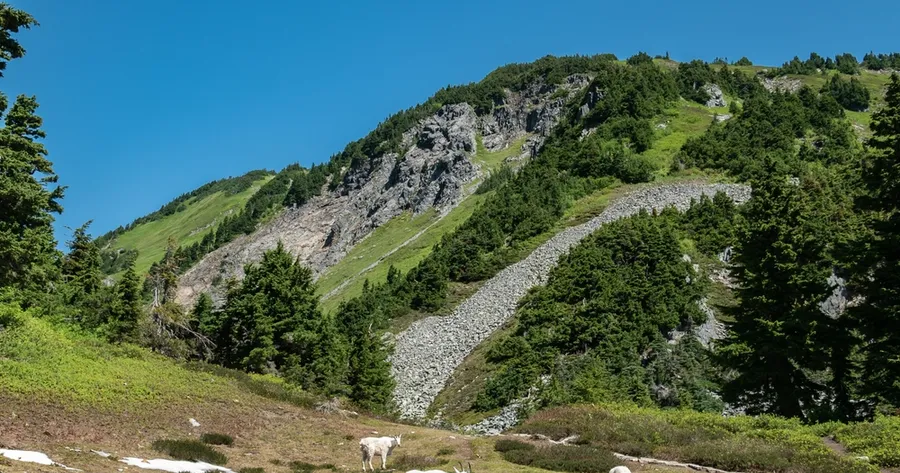 National Parks with Minimal Crowds: Where to Go This Year