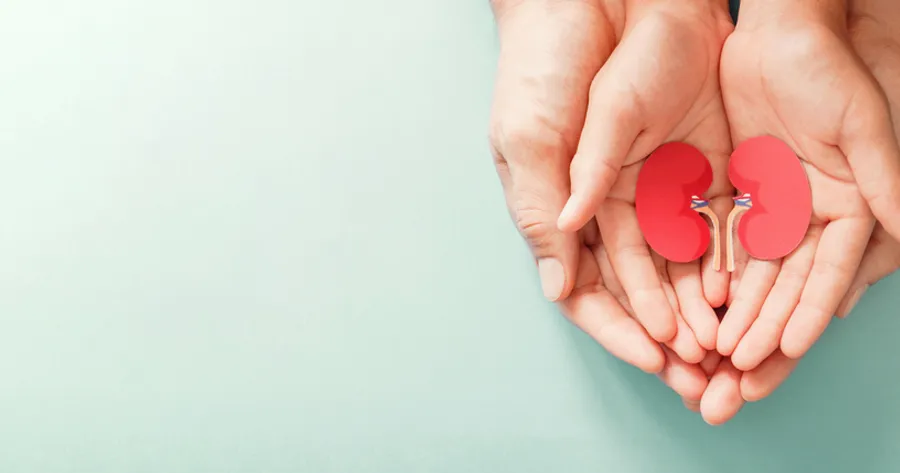 Who’s Most at Risk for Developing Chronic Kidney Disease?