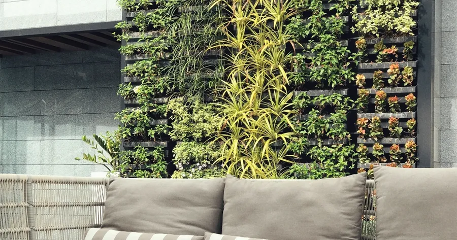 Vertical Gardening: Maximizing Small Spaces