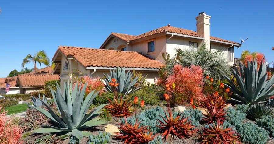 The Benefits of Native Plants