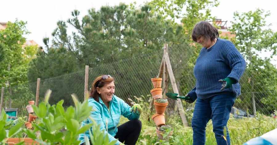 How To Start a Community Garden