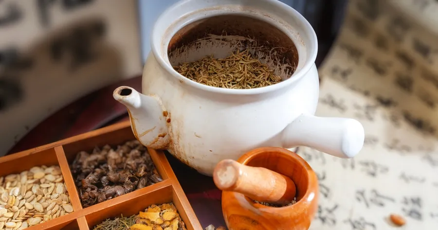 The Best Herbal Teas from Across the EU and Their Everyday Health Benefits