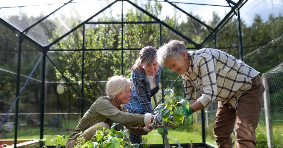 Senior Hobbies: Fun, Fulfilling Activities to Stay Active and Engaged