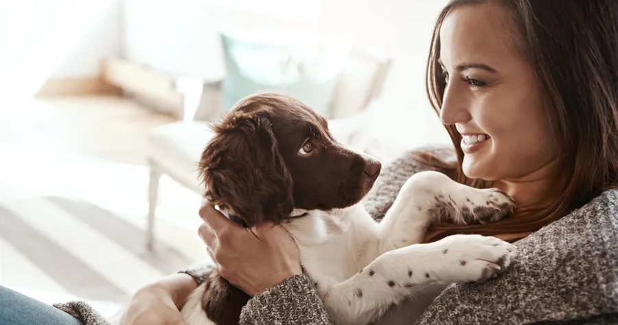 Signs Your Dog Might Be Anxious and How to Help Them