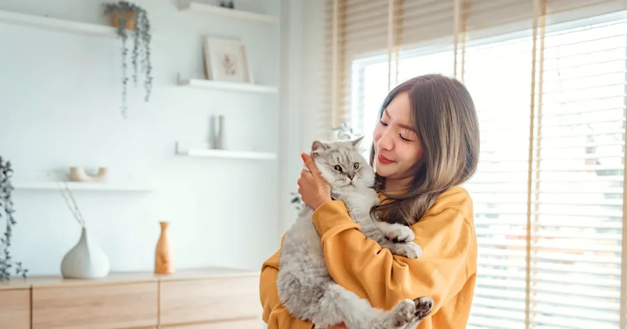 How to Introduce a New Cat to Your Home Without the Stress