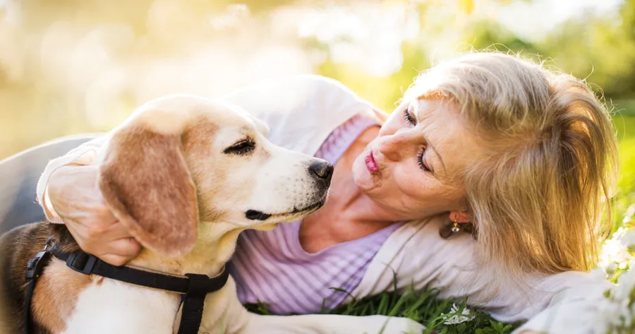 Senior Pet Care Tips: How to Help Your Aging Dog or Cat Thrive