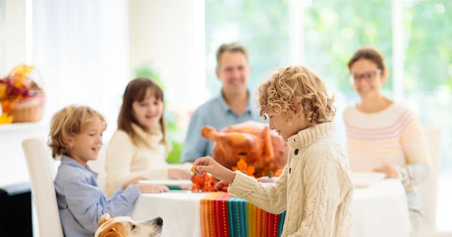 Human Foods That Are Healthy for Your Furry Family Member Too