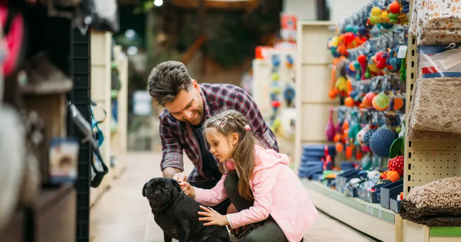 Online vs. In-Store: Which Loyalty Programs Offer Better Pet Deals
