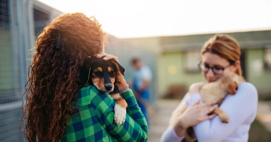 The Similarities and Differences of Bringing Home a Purchased vs. a Shelter Dog