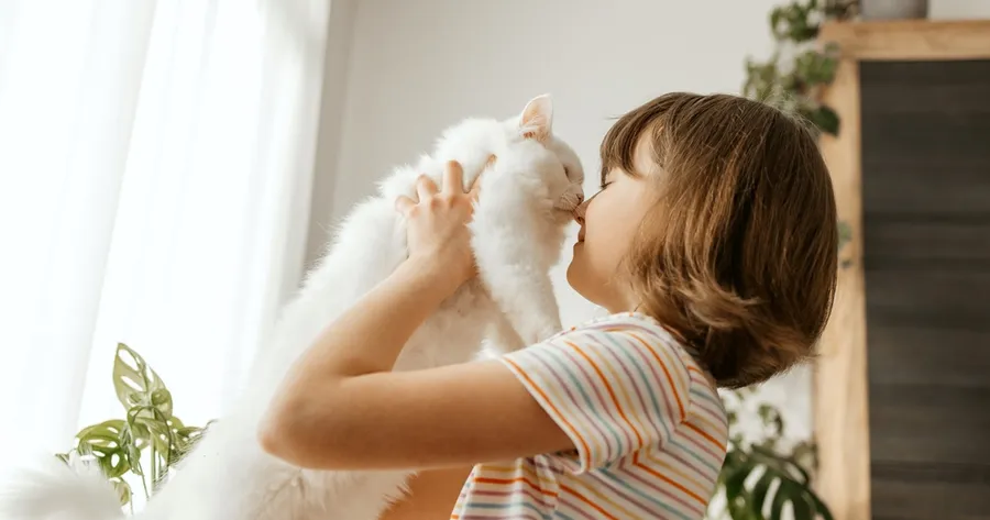 How to Introduce a New Cat to Your Home Without the Stress