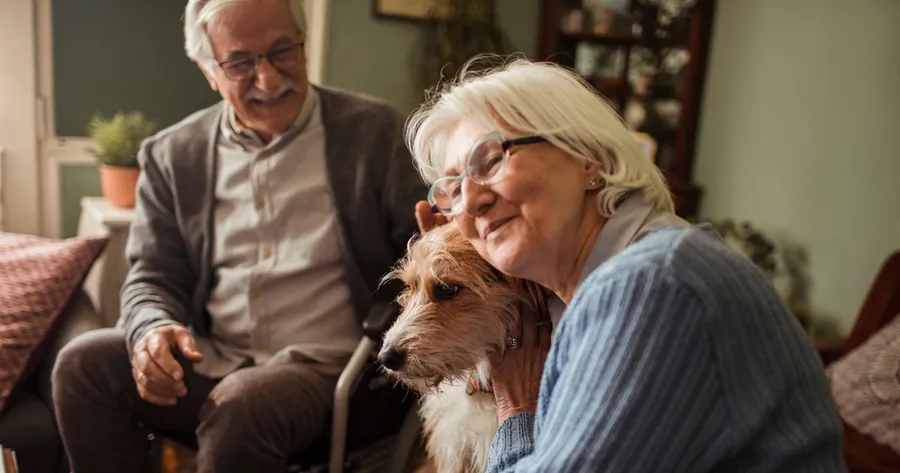 The Ultimate Guide to Choosing the Right Pet for Your Lifestyle