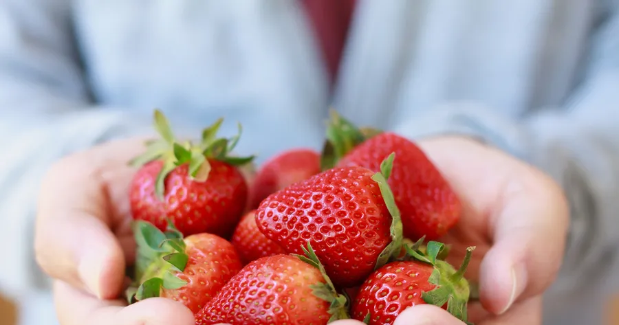 Foods That Naturally Boost Melatonin Levels