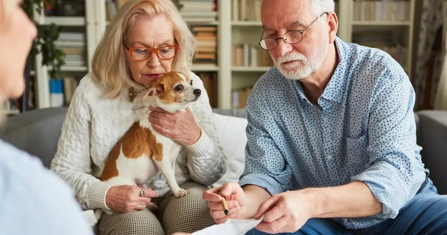 A Guide to Finding the Best Pet Insurance with Free Resources