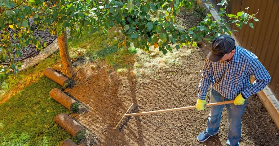 Landscape Design Services: Full Backyard Makeovers On A Budget