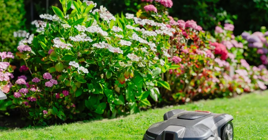 Smart Gardening: How Tech is Transforming Your Backyard
