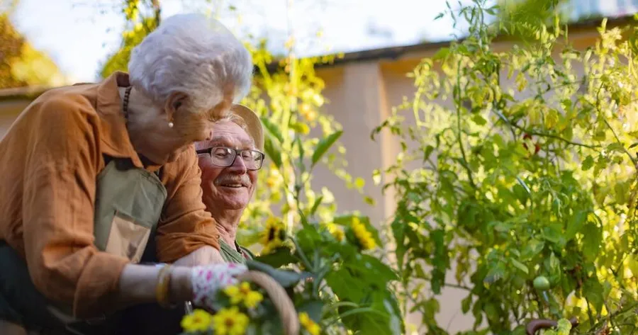 Senior Housing: Finding the Right Fit for Your Golden Years