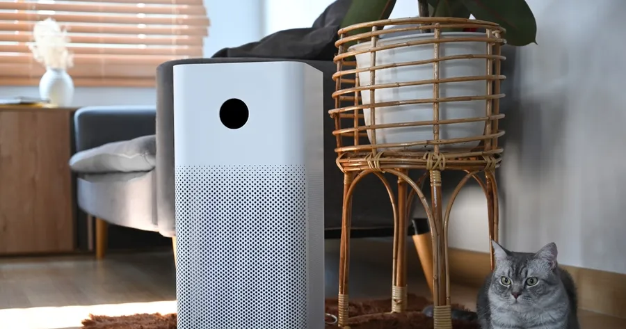 How Smart Air Purifiers Improve Indoor Air Quality
