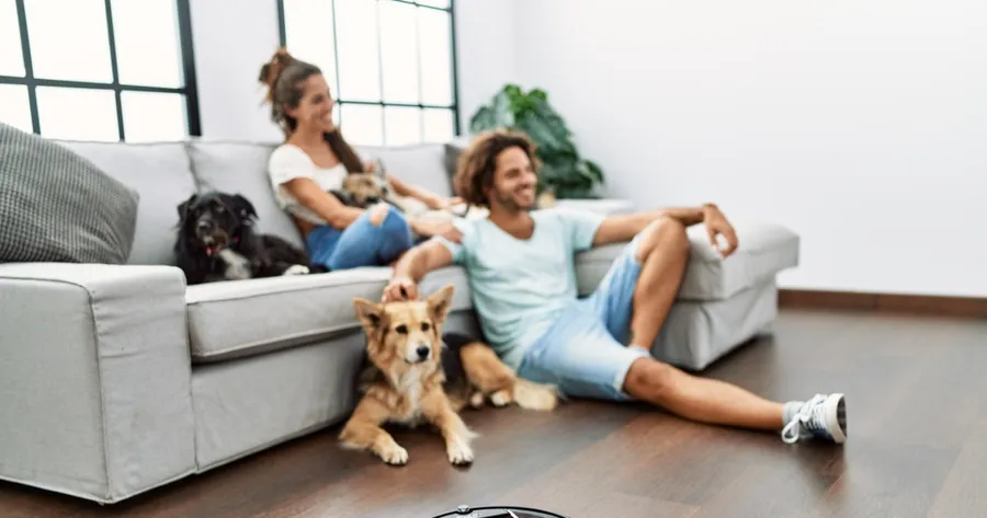The Lazy Person’s Guide to Keeping a Clean Home