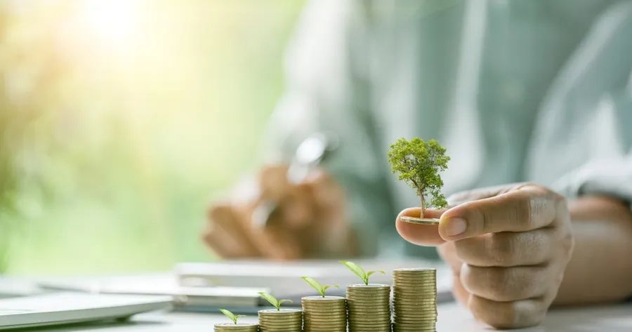 A Beginner’s Guide to Investing and Building Wealth