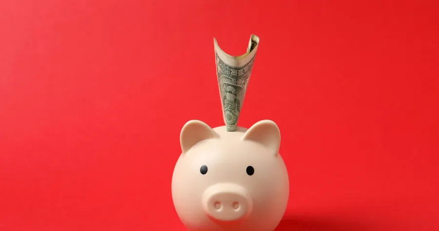 Budgeting Hacks for Young Professionals: Make Every Dollar Count