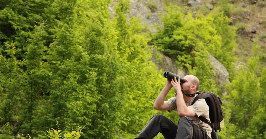 Best Places in the U.S. to Book a Birdwatching Trip