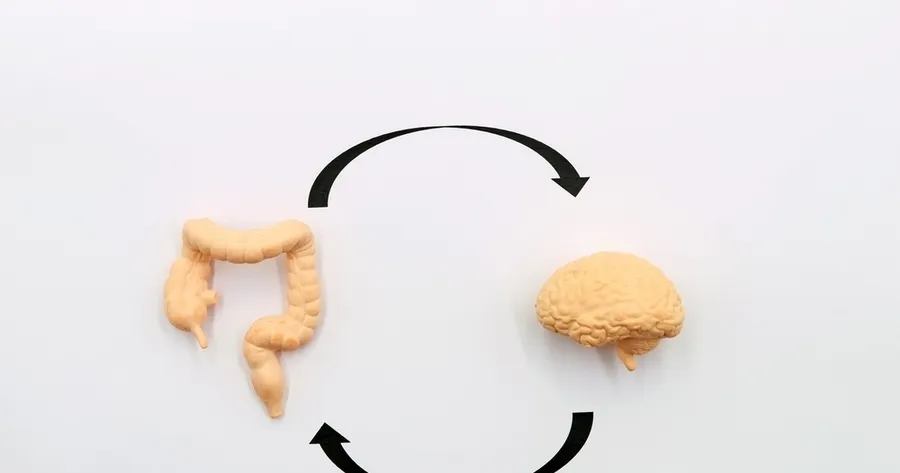 The Gut-Brain Connection: How Greek Yogurt Enhances Your Mood and Mental Health