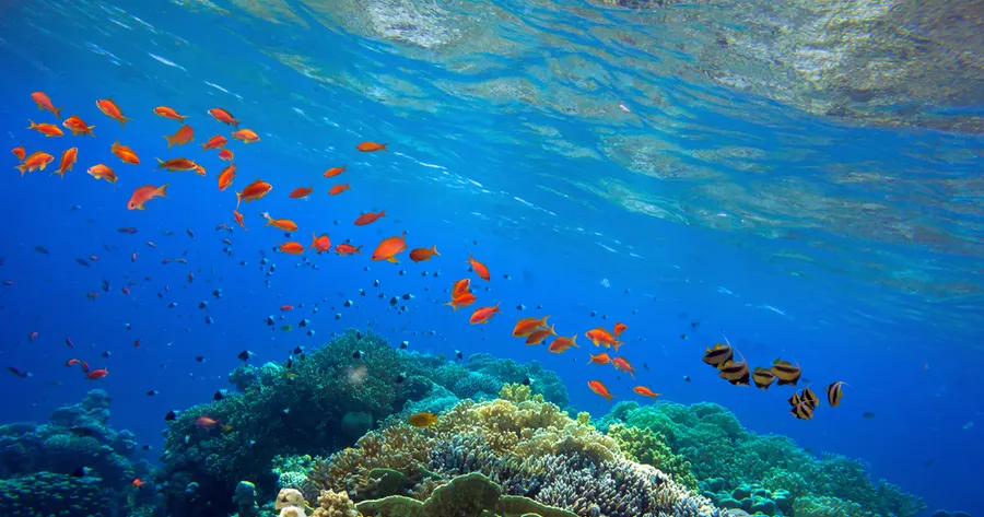 Once-in-a-Lifetime Adventures to Add to Your Bucket List