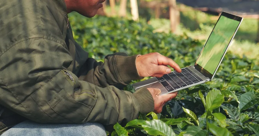 Wie Smart Gardening Den Garten Revolutioniert